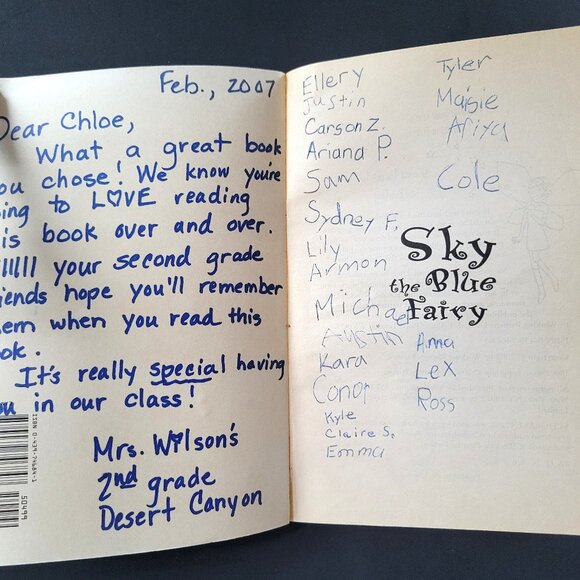 RAINBOW MAGIC FAIRIES FAIRY GIRLS HUGE LOT OF 25 BOOKS DAISY MEADOWS SCHOLASTIC - Picture 11 of 13